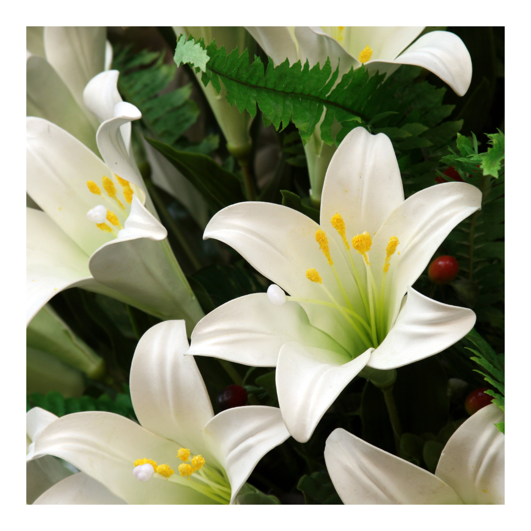 white lillies