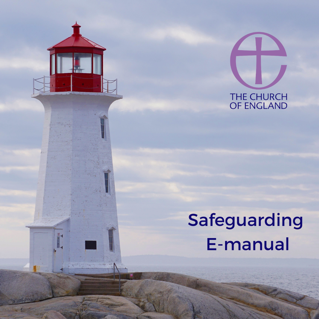 safeguarding e-manual lighthouse