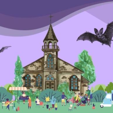 bats in churches