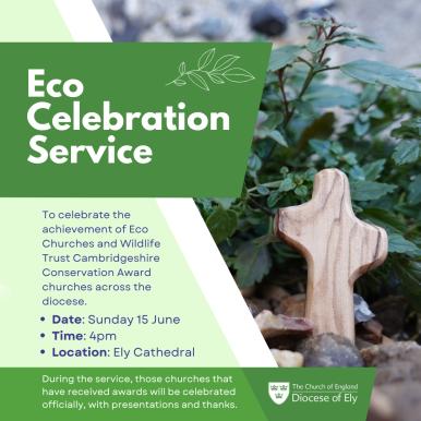 eco celebration