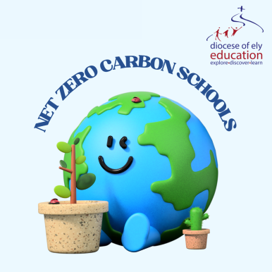 Net Zero Carbon Schools.png