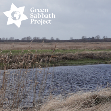 green sabbath project.png