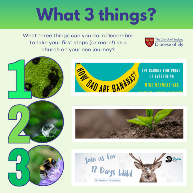 what 3 things December 2025.png