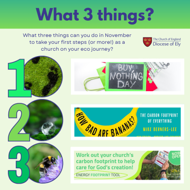 what 3 things November 2025.png