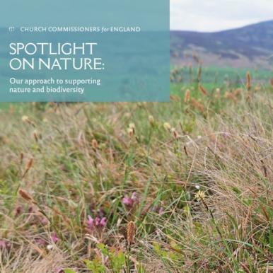 spotlight on nature.jpeg