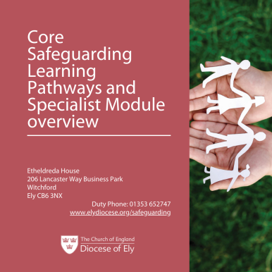 Core Safeguarding Learning Pathways and Specialist Module overview.png
