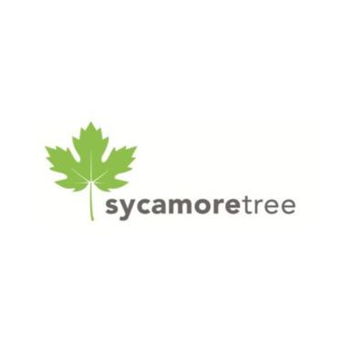 sycamore tree thumbnail.png