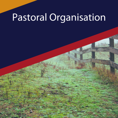 What is pastoral organisation?