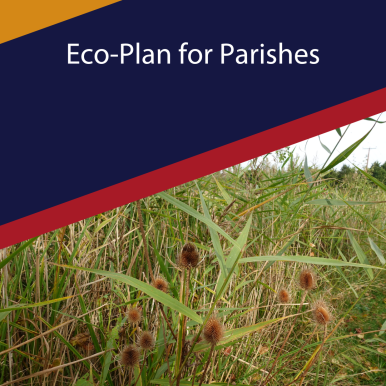 Eco-Plan for Parishes.png