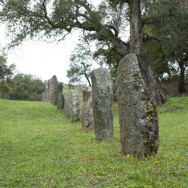 churchyard with tree.jpg