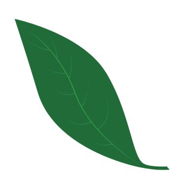 single leaf.png